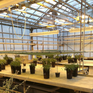 Gewächshaus Modul Experimental Plant Ecology