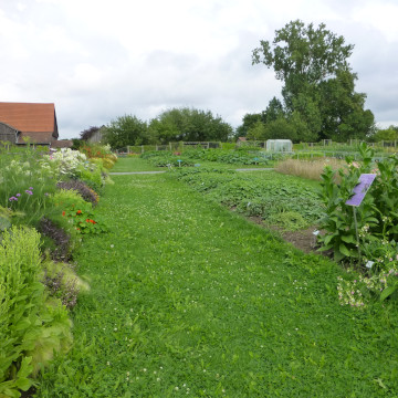 Nutzpflanzengarten des Ökologisch-Botanischen Gartens, wo ein Großteil der Lehrveranstaltung praxisnah stattfindet.