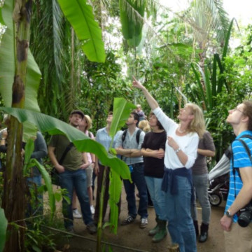 Anschauungsunterricht zur Vegetation der Tropen in den Gewächshäusern des Ökologisch-Botansichen Gartens (ÖBG) der Universität Bayreuth